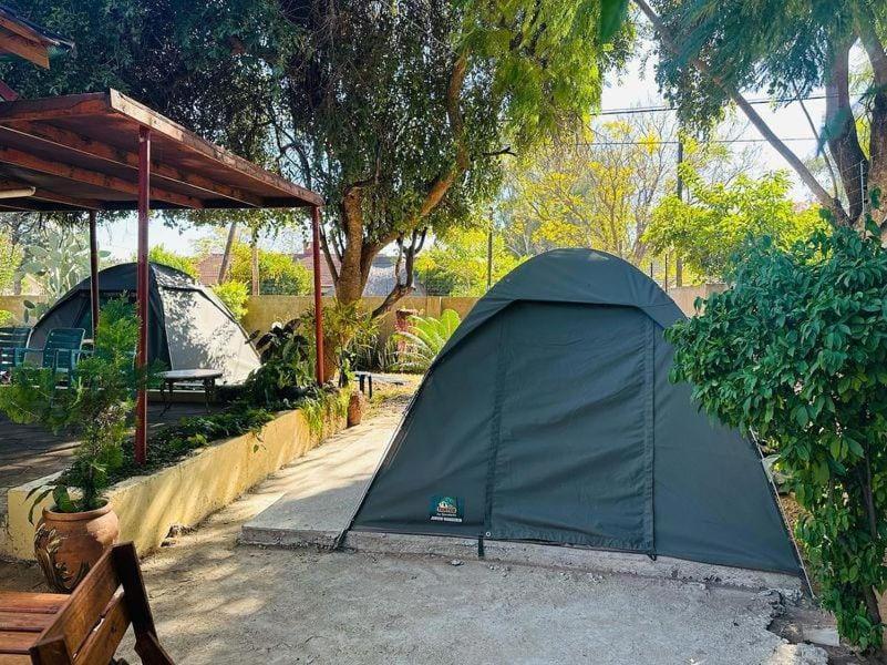 Birdville Bnb Guest House 哈博罗内 外观 照片
