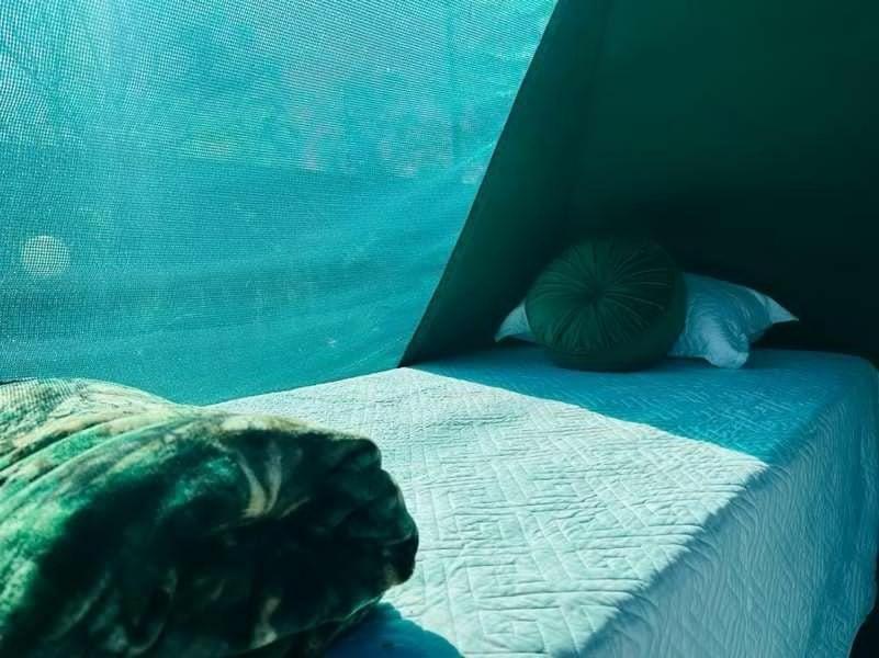 Birdville Bnb Guest House 哈博罗内 外观 照片